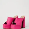 Zamy fucsia