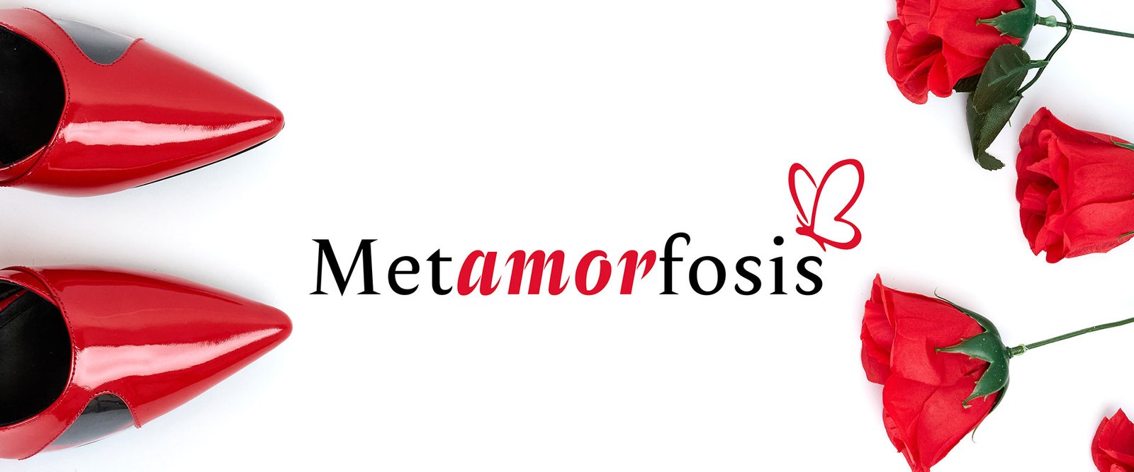 Banner metamorfosis